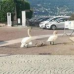 Apartment Maggiore