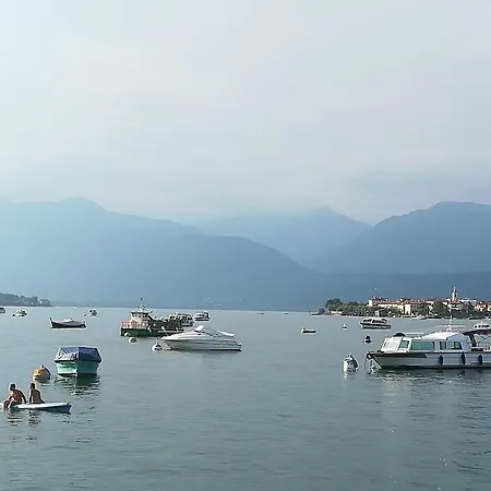 Maggiore بافينو