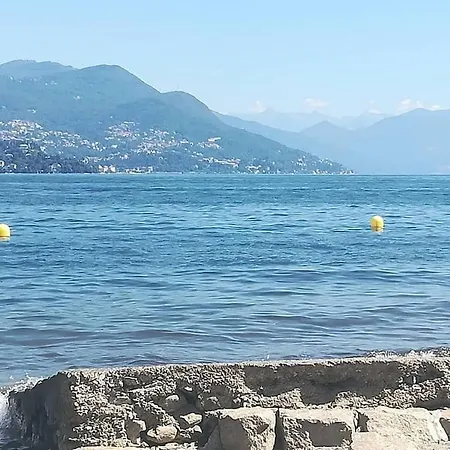 Maggiore بافينو