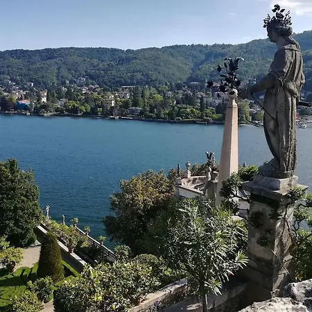 Maggiore بافينو